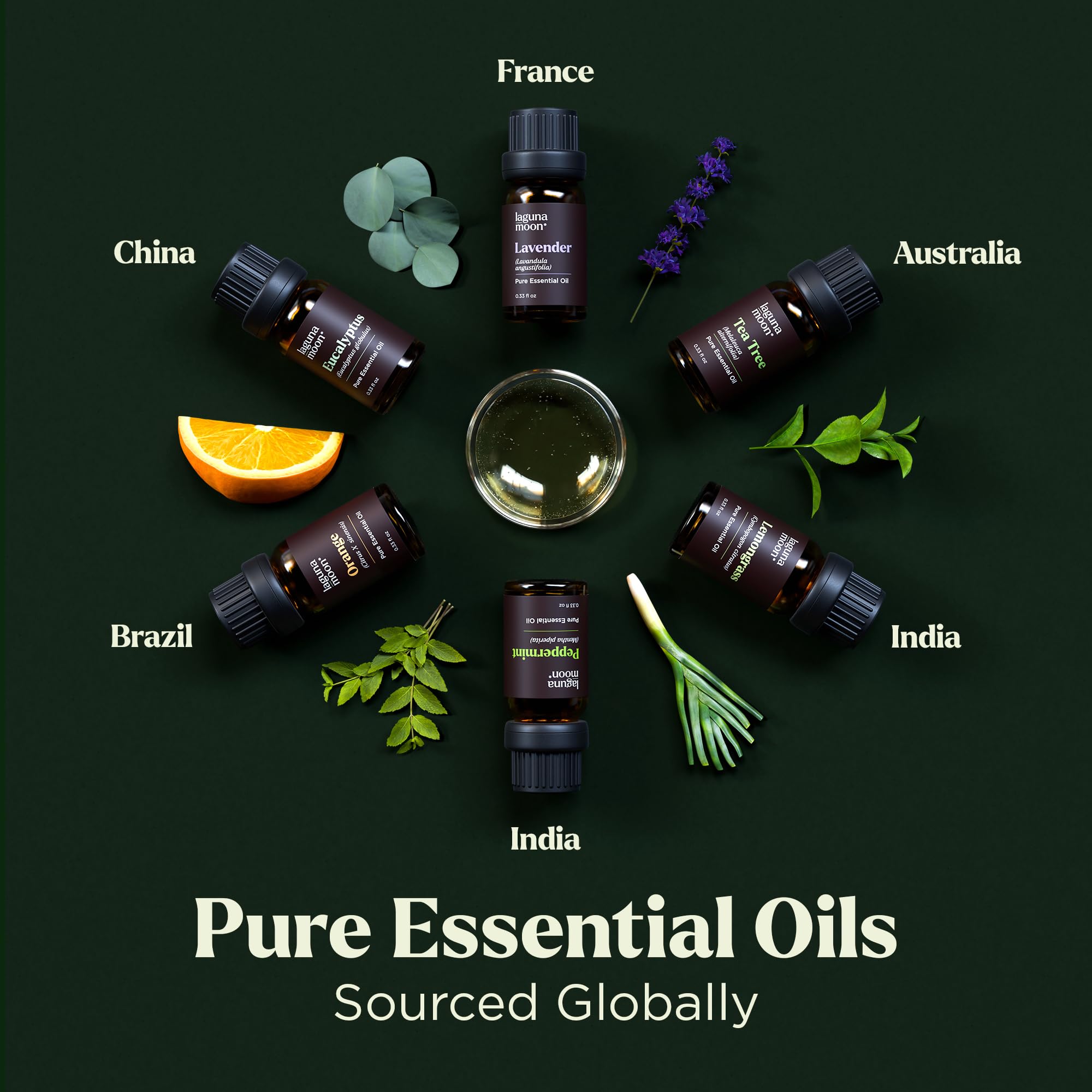 Essential Oils Set - Top 6 Blends for Diffusers, Home Care, Candle Making Scents, Fragrance, Aromatherapy, Humidifiers, Gifts - Peppermint, Tea Tree, Lavender, Eucalyptus, Lemongrass, Orange (10mL) - Image 7