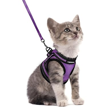 50 foot retractable dog leash Retractable Dog Leash Black Automatic 15 Feet Long 4 LED Lights Strap   AllTopBargains