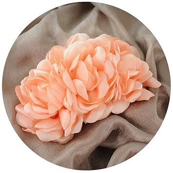 Amazon Com Ulapan Wedding Hair Comb Flowers Wedding Bridal Hair