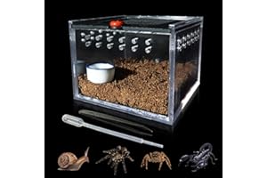 GKPONSX Jumping Spider Enclosure, Small Insect Breeding Box Acrylic Spider Terrarium with Tongs Bowls Dropper for Snail Gecko Tarantula Scorpion Sling Mantis Frog Isopods Hermit Crabs (Transparent)