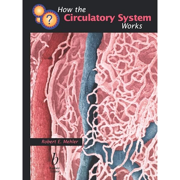 Amazon.com: The Heart: Physiology, from Cell to Circulation
