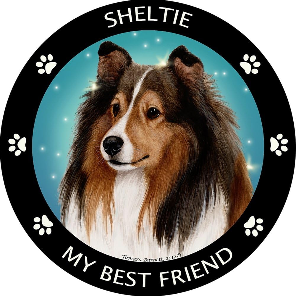 Shetland Sheep Dog My Best Friend Magnet