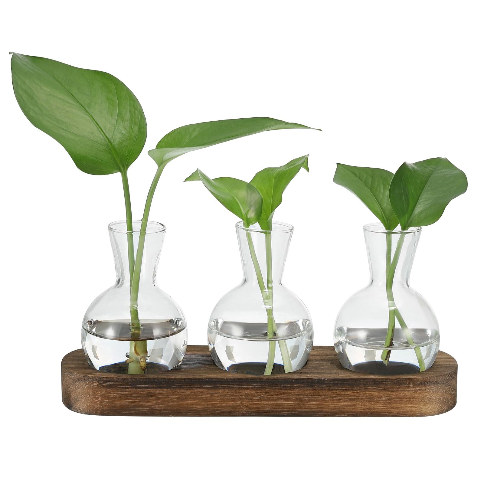 PATIKIL Plant Propagation Stations Glass Vases 9.4x2.6inch, Desktop Plant Terrarium Container with Wooden Tray 3 Bulb Flower Vase for Hydroponic Office Home Decor Plants Indoor