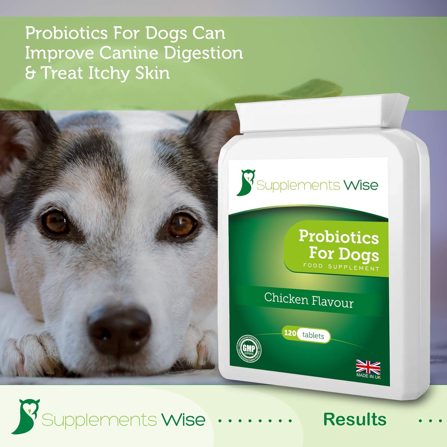 best probiotic for dog yeast infection uk