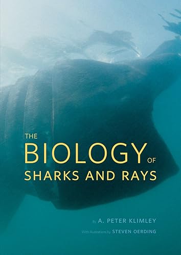Download The Biology of Sharks and Rays PDF