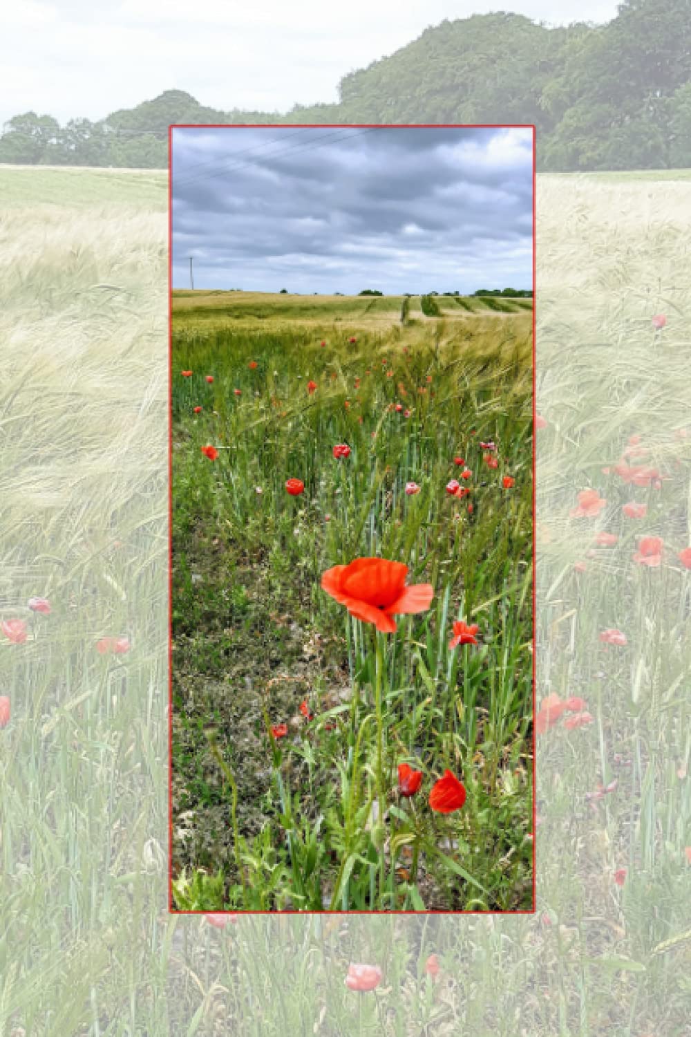 Field of Poppies Ruled Notebook: Full Color Lined Journal - 120 pages