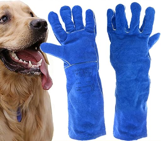 Animaux Domestiques Gants Anti Morsures Anti Rayures Anti