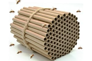 Mason Bee Tubes 200Pieces of 6 inch Long and 5/16 inch Inner Diameter Hole Great Refills and Inserts for Bee Houses, Condos, 