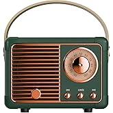 QUEQIMU Retro Bluetooth Speaker, Wireless Mini Portable Speakers Support USB/TF Card/AUX, Vintage Radio Bluetooth Speaker for Kitchen Desk Bedroom Office Outdoor, Retro Gifts for Women Men, Green
