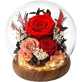 CHOSIAROSE Red Preserved Flowers for Delivery - Preserved Roses Forever Flowers Gifts for Mom Grandma,Forever Gold Roses Gift in Acrylic Dome for Her Birthday Flower Gift