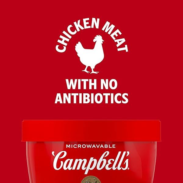 CAMPBELL’S HOMESTYLE CHICKEN NOODLE SOUP MICROWAVABLE BOWL, 15.4 OZ.