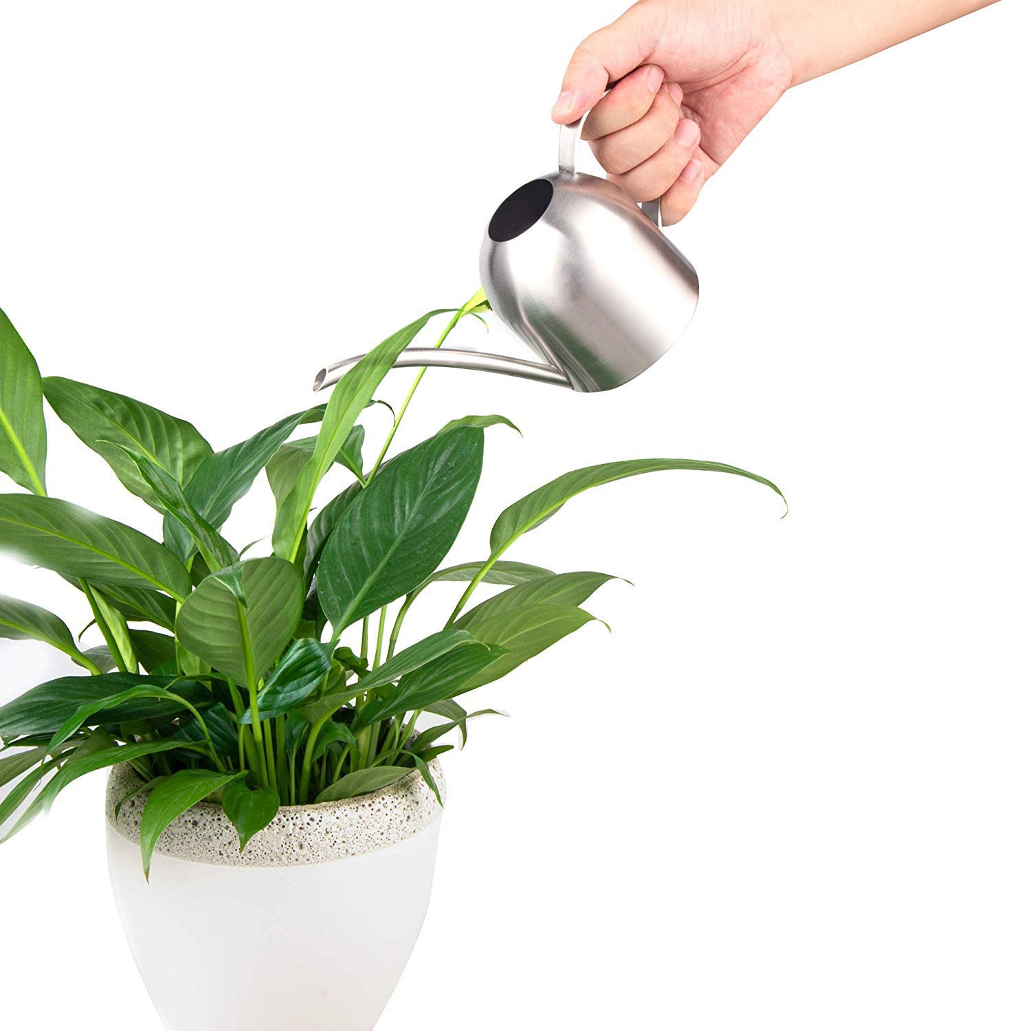 Liyahog Small Stainless Steel Watering Can Indoor Outdoor Metal Watering Pot with Long Spout for House Plants & Kids - Image 4