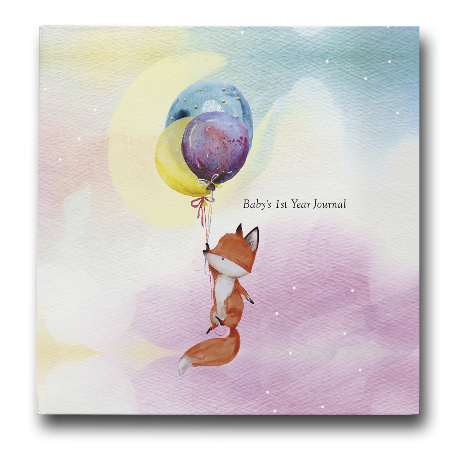 baby's first year journal