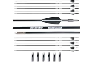 BOWSOUL 31“ Archery Arrows Training Practice Target Arrows for Kids Youth or Beginners Streamlined Points Durable Shaft on Recurve Bows Youth Bow and Longbows(Pack of 12)