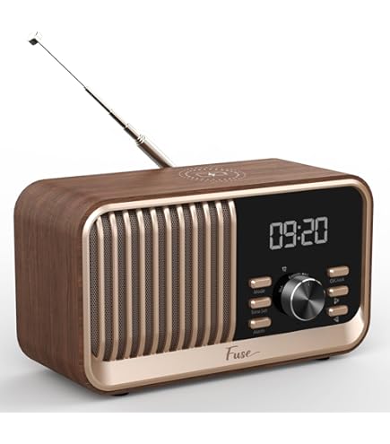 Amazon.com: Tivoli Audio Albergo Bluetooth Clock Radio
