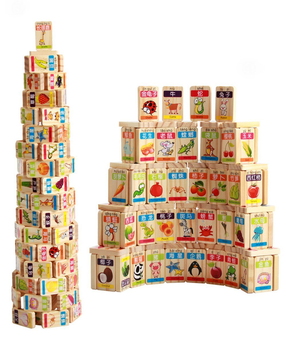 Which Is The Best Childrens Fruit Domino Game Play With Wooden Box Learning Toy Set