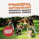 Pets Purest 100% Natural Turmeric for Dogs Cats & Pets 60 Capsules 10000mg view 6