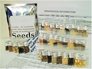 13400+ NON-GMO Seed Pack 33 Vegetable Variety Garden Emergency Survival Food Kit