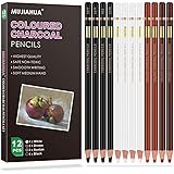 MUJINHUA Professional Charcoal Pencils Drawing Set, Colour Pencils Sketch Highlight White Pencils for Drawing, Sketching, Sha