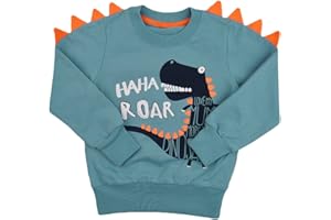 POPSHION Toddler Boys Sweatshirts Dinosaur Long Sleeve Pullover Crewneck Shirts Cartoon Tee Sport Tops for Kids 1-8T