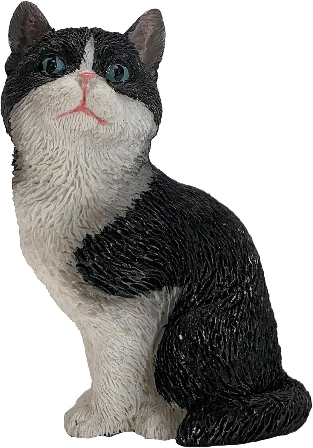 tuxedo shorthair cat