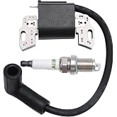 Amazon.com : Briggs and Stratton 593872 Ignition Coil Lawn Mower ...