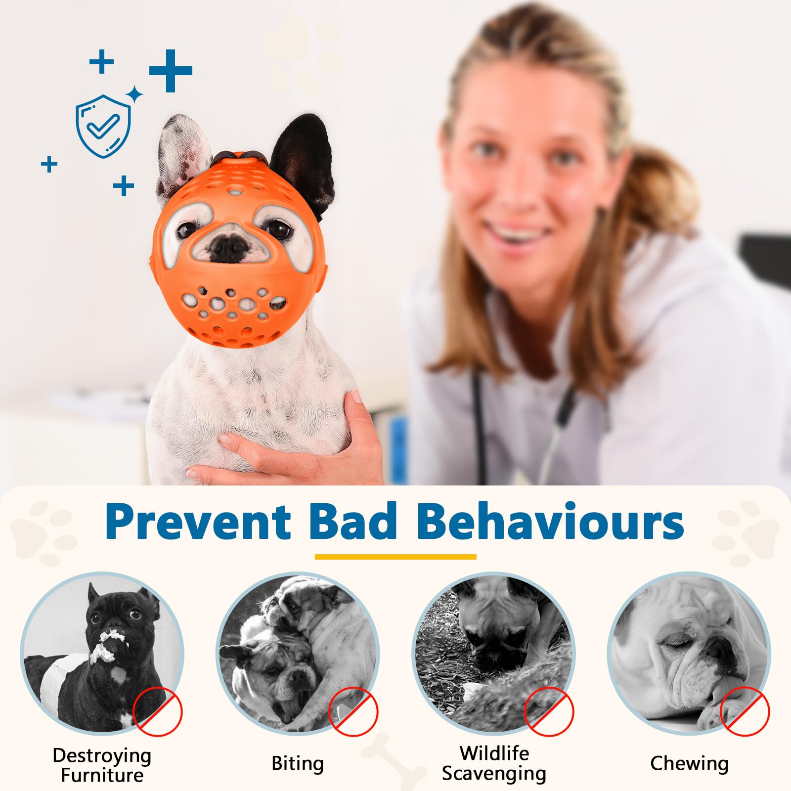View 6