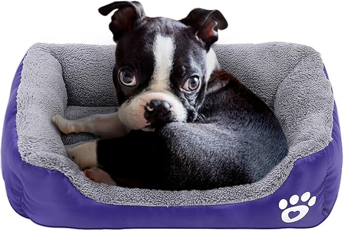 purple mattress dog bed