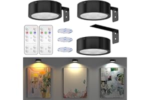 Luxvista Picture Light for Wall, Wireless Magnetic LED Painting Light with Remote Control 3 Colors Wall Lights Battery Operat