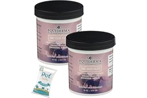 Equiderma (2 Pack) Zinc Oxide Paste for Horses, 16 oz with wipes | Treatment for Pastern Dermatitis, Scratches & Sunburn | Pr