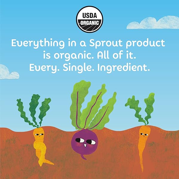 SPROUT ORGANIC BABY FOOD, STAGE 4 TODDLER FRUIT SNACKS, RED FRUIT BEET & BERRY CRISPY CHEWS, 0.63 OZ SINGLE SERVE PACKS (5 COUNT)