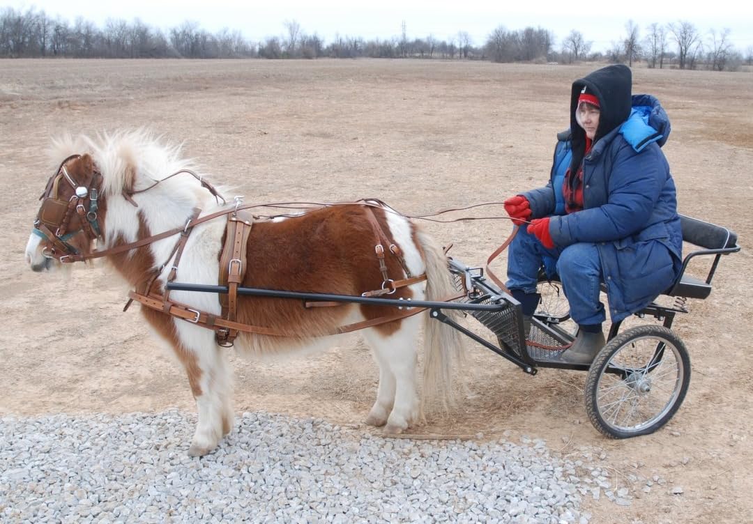 Super Heavyweight Mini Miniature Russet Brown Horse Driving Harness : Horse Driving Equipment : Sports & Outdoors