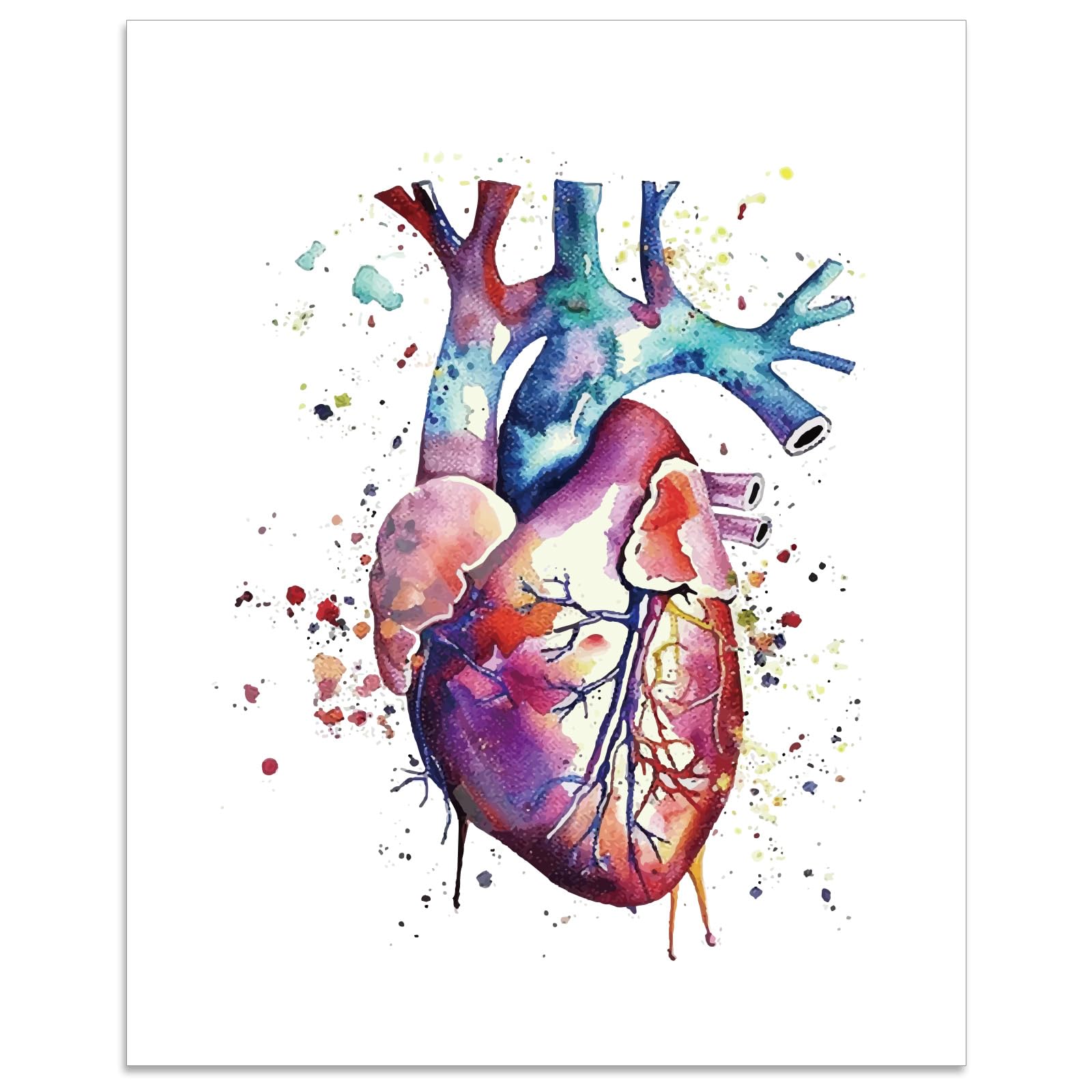 arricraft 1 Pc Anatomy Heart Picture Poster, Dreamful Anatomy Wall Art Print Unframed Watercolor Organ Poster Paper Wall Hanging for Doctor Nurse Cardiologist Office Decor 25.5x20.5cm
