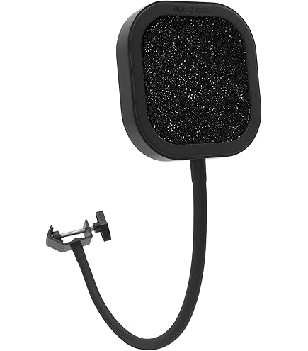 Amazon.com: JZ Microphones Metal Pop Filter Microphone
