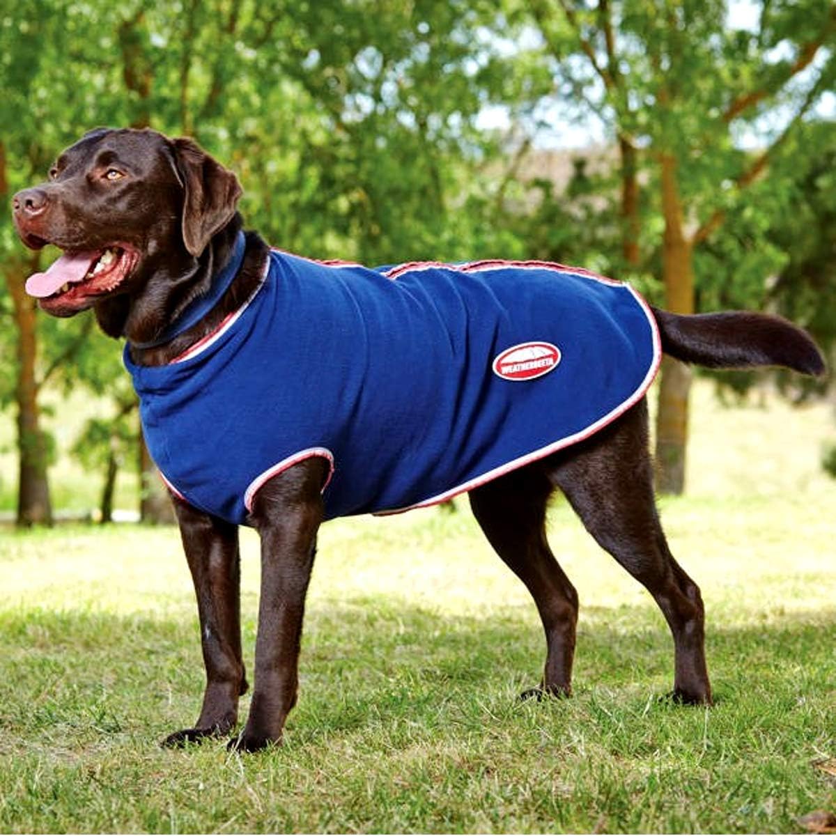 discount sales Weatherbeeta Fleece Zip Dog Coat outlet online