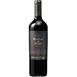 カッシェロ・デル・ディアブロ デビルズ・コレクション レッド 750ml [ 赤ワイン フルボディ チリ ]