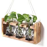 Plant Terrarium Propagation Stations Hydroponics Halloween Skull Planter Vase Skulls Decor with Wooden Stand Gife for Father