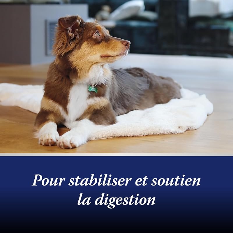 Flore Intestinale Chien - Prébiotiques et Probiotiques Chien - pour stabiliser la Digestion physiologique - Renforcer la Flore intestinale du Chien - 30 comprimés