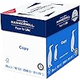Hammermill Printer Paper, 20 lb Copy Paper, 8.5 x 11 - 5 Ream (2,500 Sheets) - 92 Bright, Made in the USA