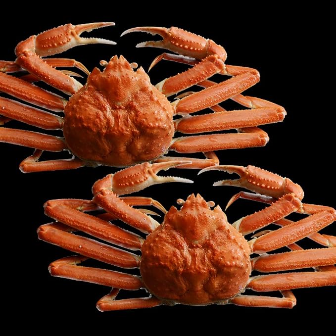 Amazon 蟹 ハサミ ズワイガニ 姿 500g 2尾 ボイル 約3 4人前 カニ はさみ 北国からの贈り物 北国からの贈り物 カニ 通販