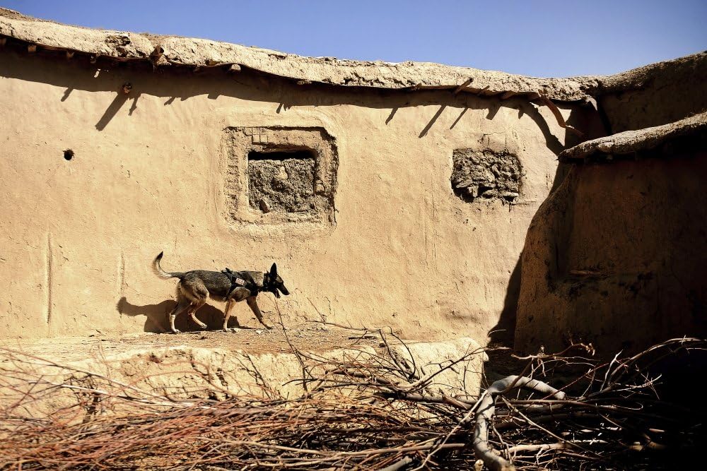 Best How To Search School District For A Home