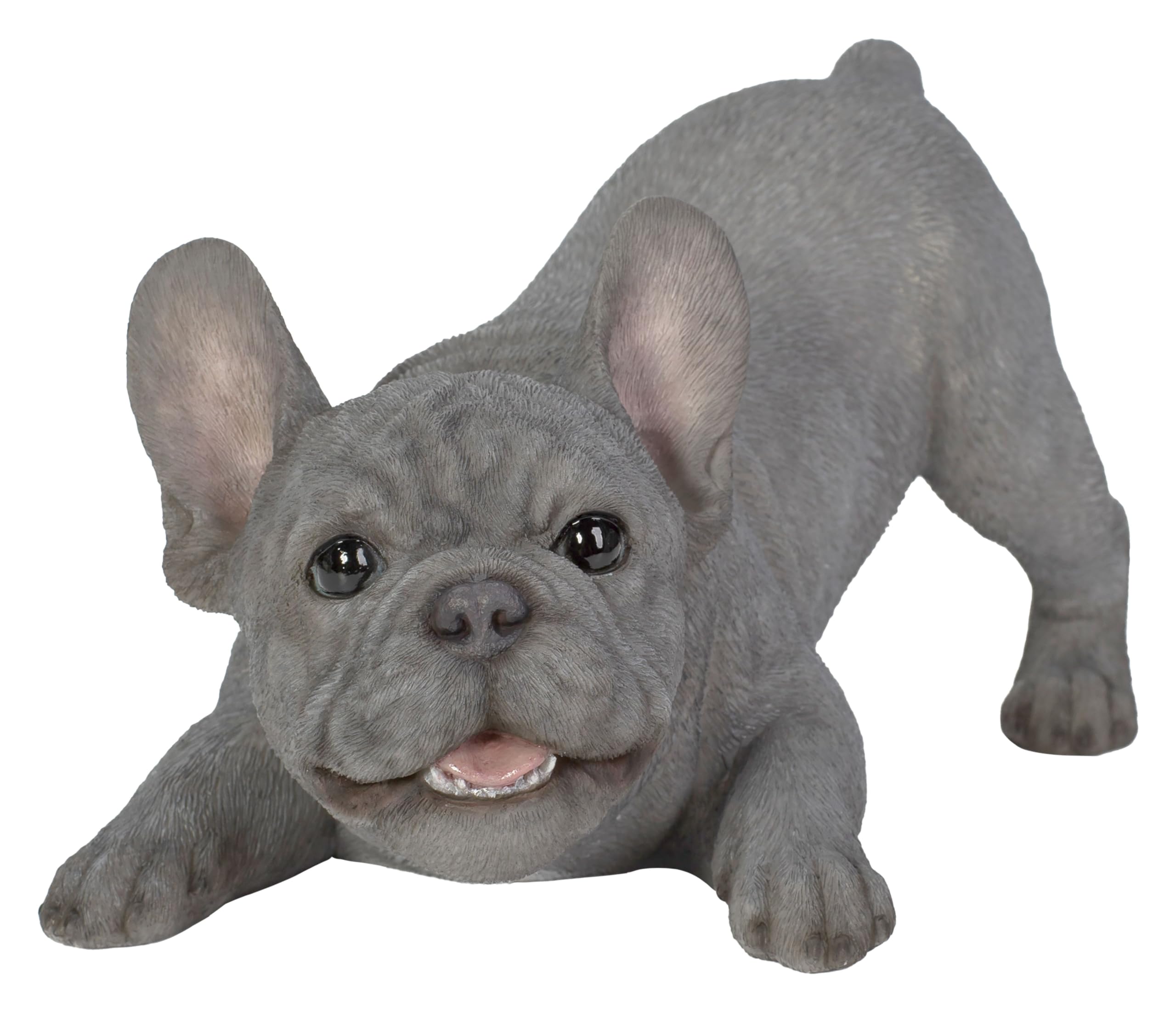 Vivid Arts - Active Pups Blue French Bulldog - AP-BFRB-D