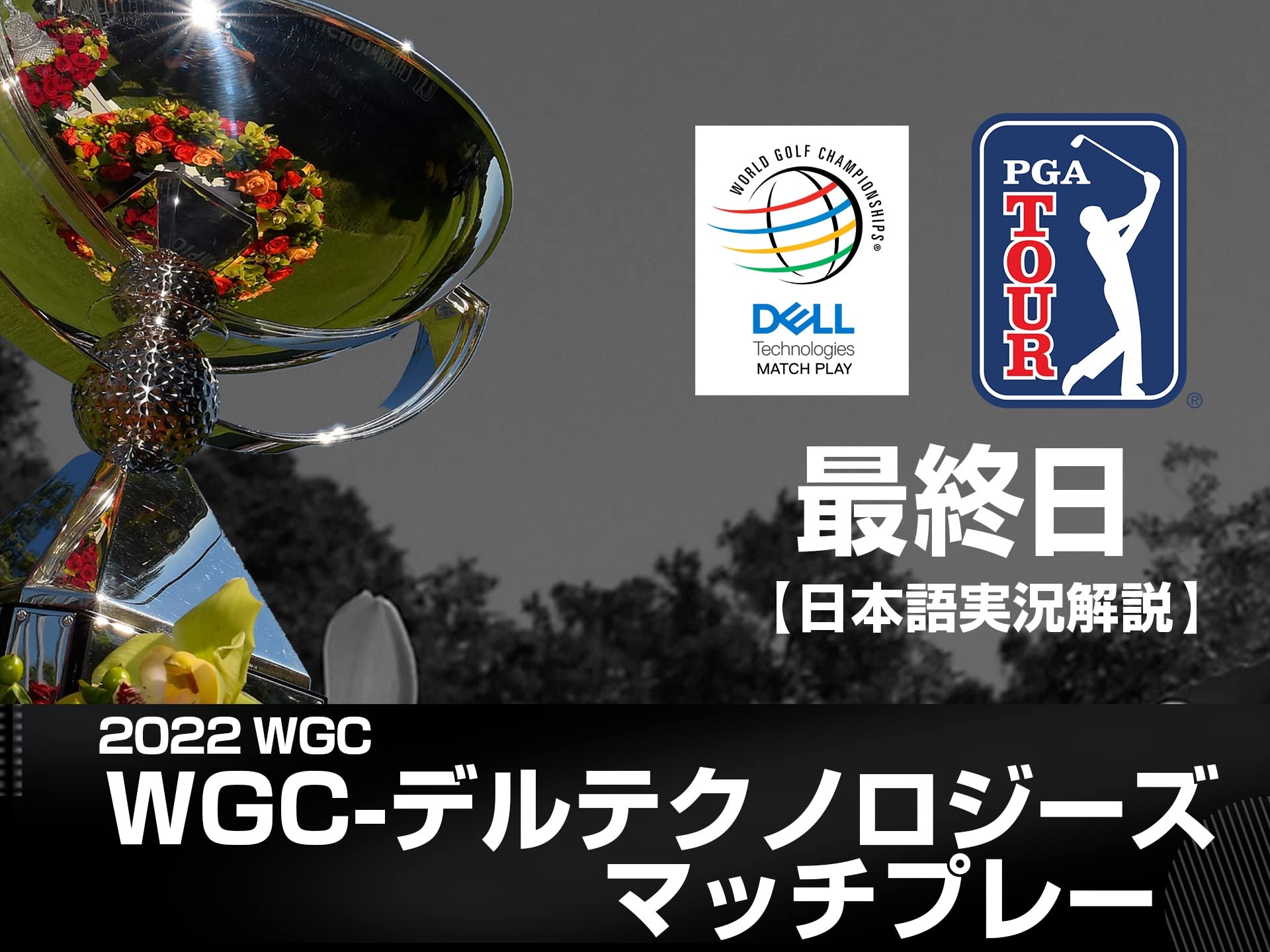 Amazon Co Jp Wgc デルテクノロジーズ マッチプレイ ディスカバリーゴルフ Prime Video