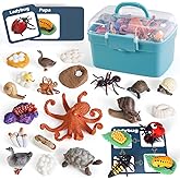 Life Cycle Toys for Kids - Life Science Education Kits: Ladybug, Ants, Goose, Land Turtle, Snail, Octopus - 24 Pieces Animal Models STEM Learning Toys for 3-10 Year Old