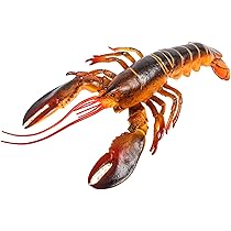 Amazon.com: Hiawbon 13 Inch Realistic Lobster Figure