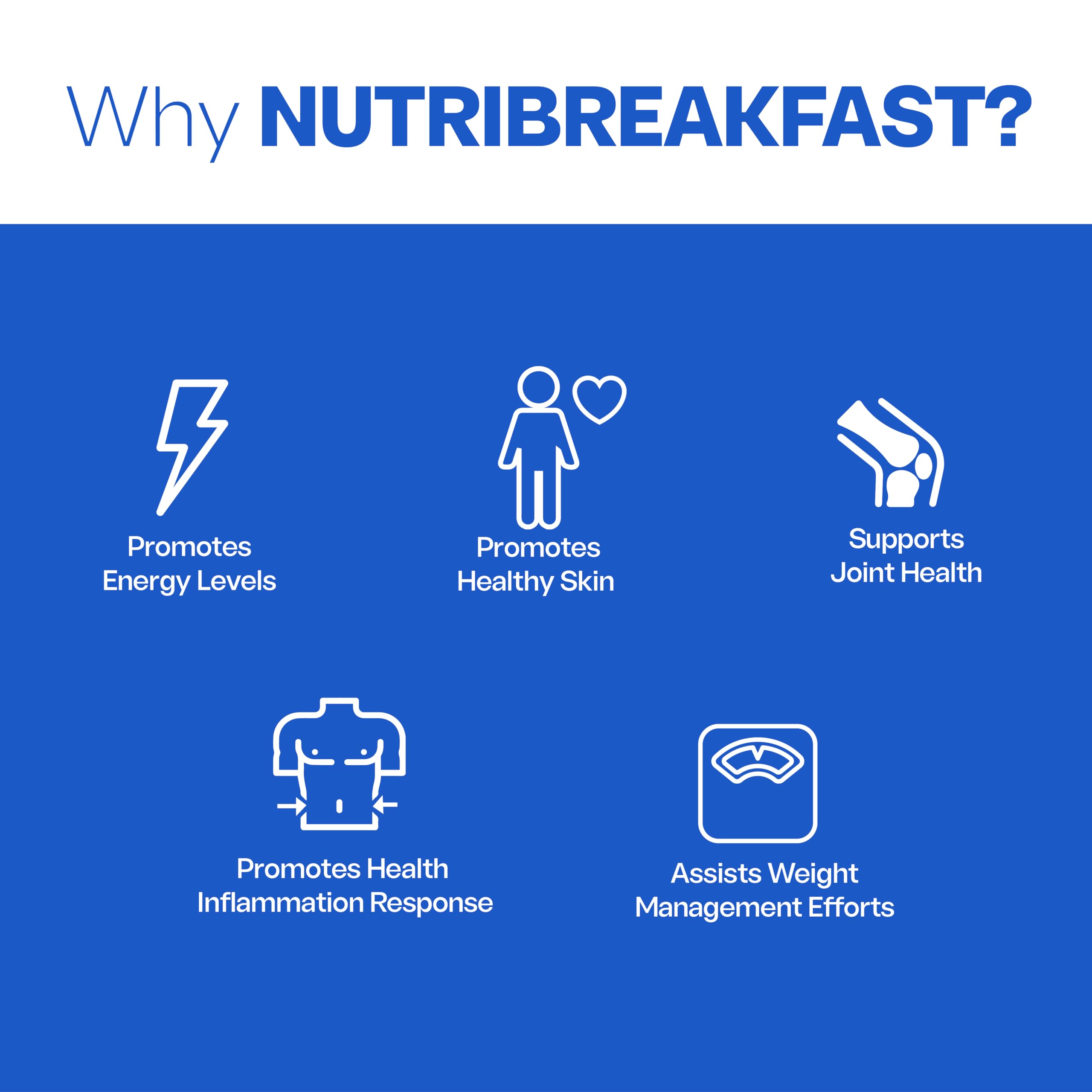 NutriBreakfast by Nutrillermo/Keto Protein Collagen Powder with MCT Oil/MCT Oil Powder/Keto Collagen Peptides with Grass-Fed Bovine Collagen Type I & III (15.9, Chocolate)