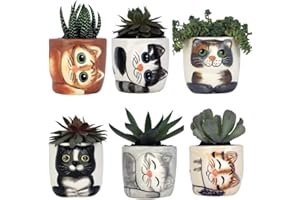 Window Garden Cute Cat Planter Pot - 6 Mini 3" Succulent Kitty Pots - Cute Flower Pots for Indoor Plants - Cat Decor Vase for Cactus, Herb - Cat, Cat Owner Gifts, Unique Gifts, Gift Set