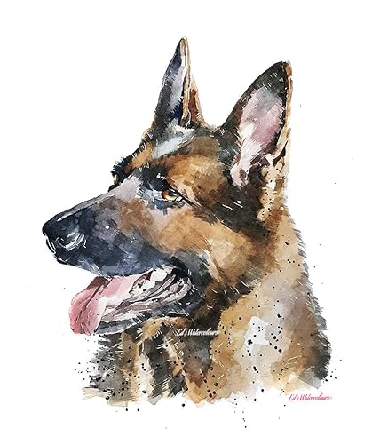 Berger Allemand Aquarelle Imprimer Amazonfr Handmade