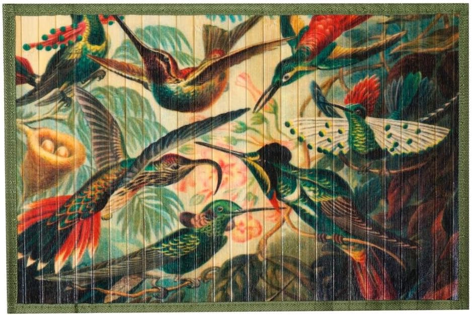 Kitchen Rugs Area Rugs 3 ft by 5 ft Exotic Birds Bamboo for Indoor or Outdoor Patio Rug