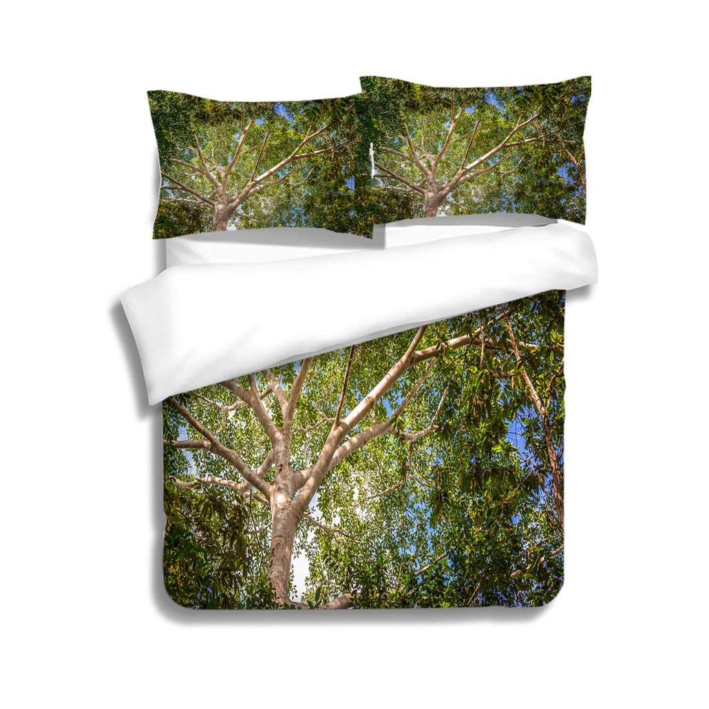 Best Amish Canopy Bedding